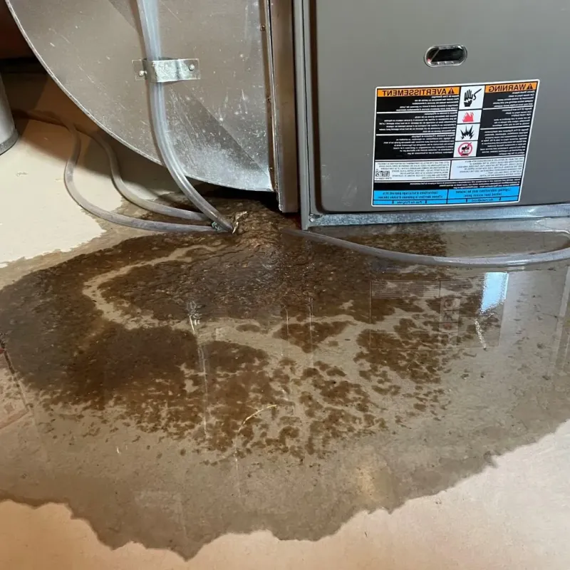 Pipe Burst and Leak Restoration in Fortville, IN